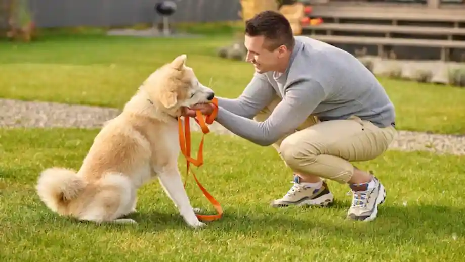 The Complete Checklist of Essential Services for Responsible Pet Owners