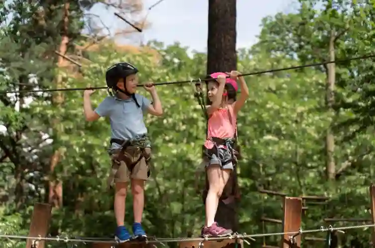 Why an Adventure Park Is the Perfect Family Day Out